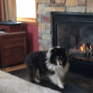 Meet your Posher, Ruth